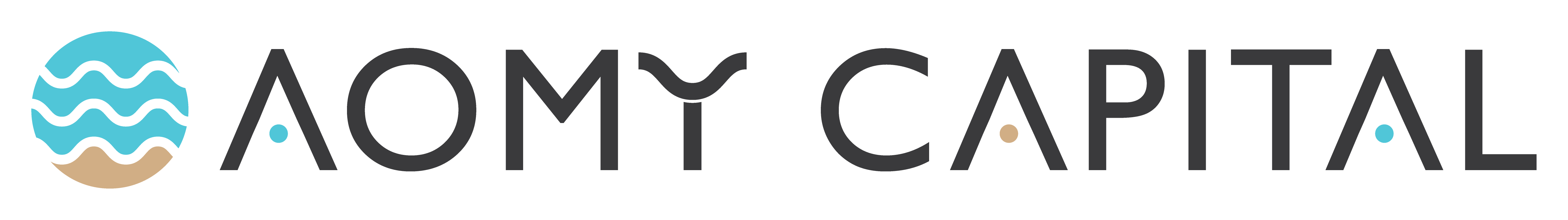 Aomy Capital LLC